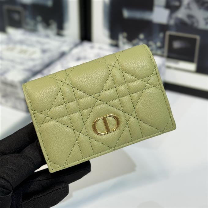 2025228Y 220P182145317